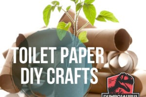 DIY Toilet Paper Crafts
