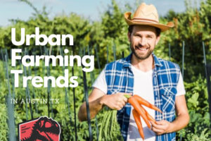 Austins-Urban-Farming-Trends